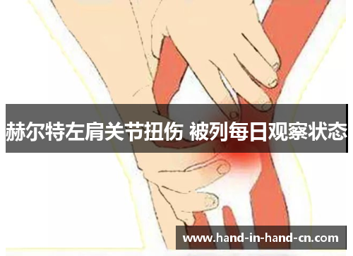 赫尔特左肩关节扭伤 被列每日观察状态